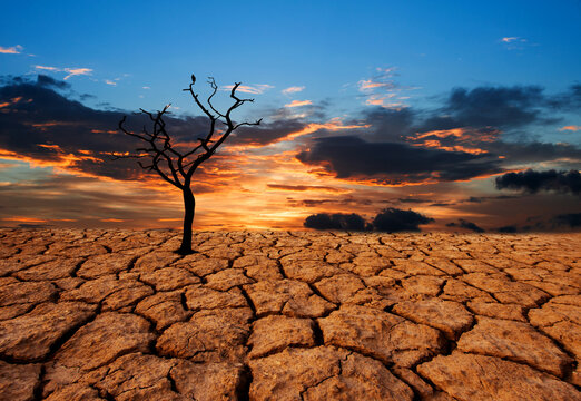 Wallpaper sand, the sky, clouds, tree, desert, drought, dunes, Sands for  mobile and desktop, section пейзажи, resolution 2000x1250 - download