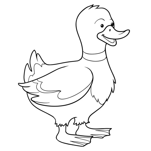 Duck colouring page royalty