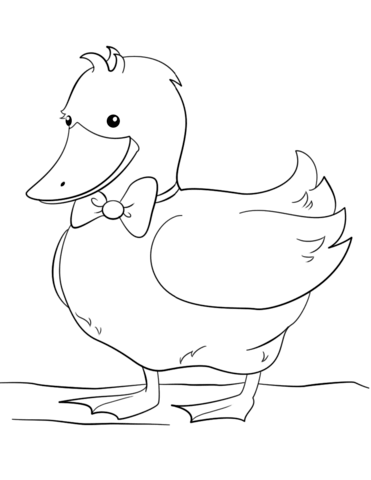 Cute cartoon duck wearing bow tie coloring page coloring pages owl coloring pages bird coloring pages