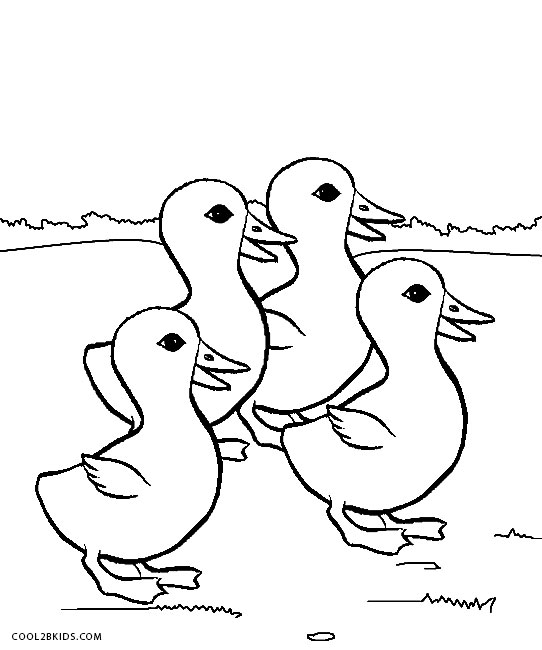 Printable duck coloring pages for kids