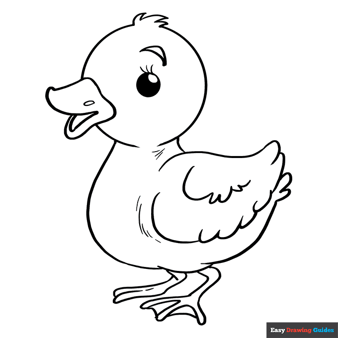 Baby duck coloring page easy drawing guides