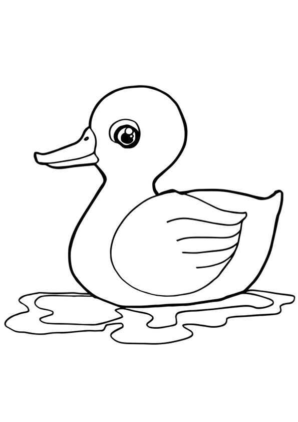 Coloring pages baby duck coloring pages for kids