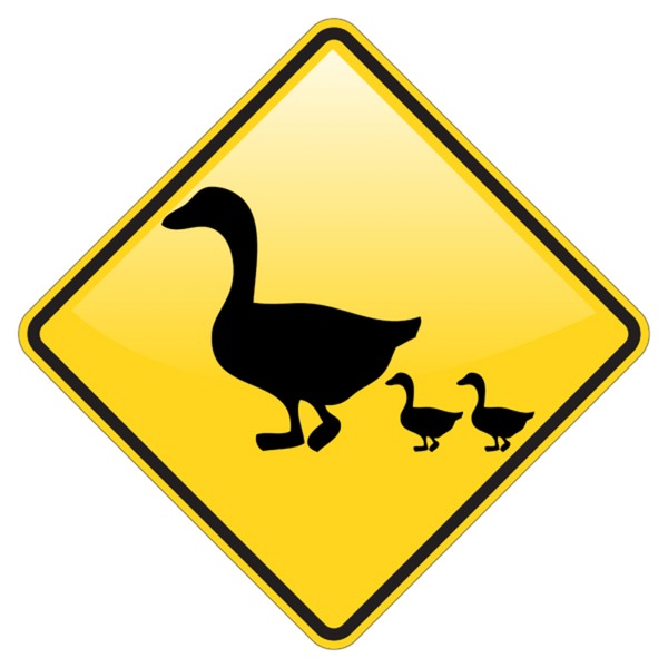 Hundred crossing duck sign royalty
