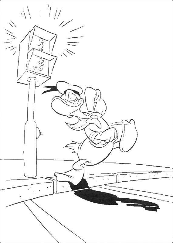 Online coloring pages coloring page donald duck crossing the road on red lights and violate traffic les traffic light download print coloring page