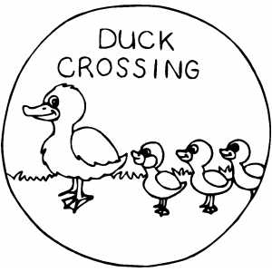 Duck crossing coloring page