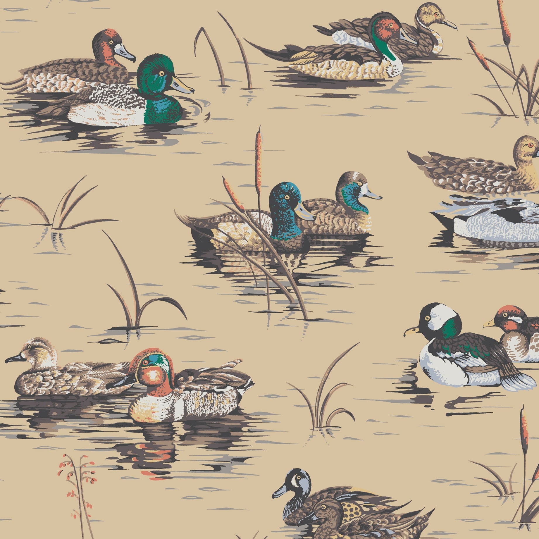 Download Free 100 + duck decoy wallpaper border