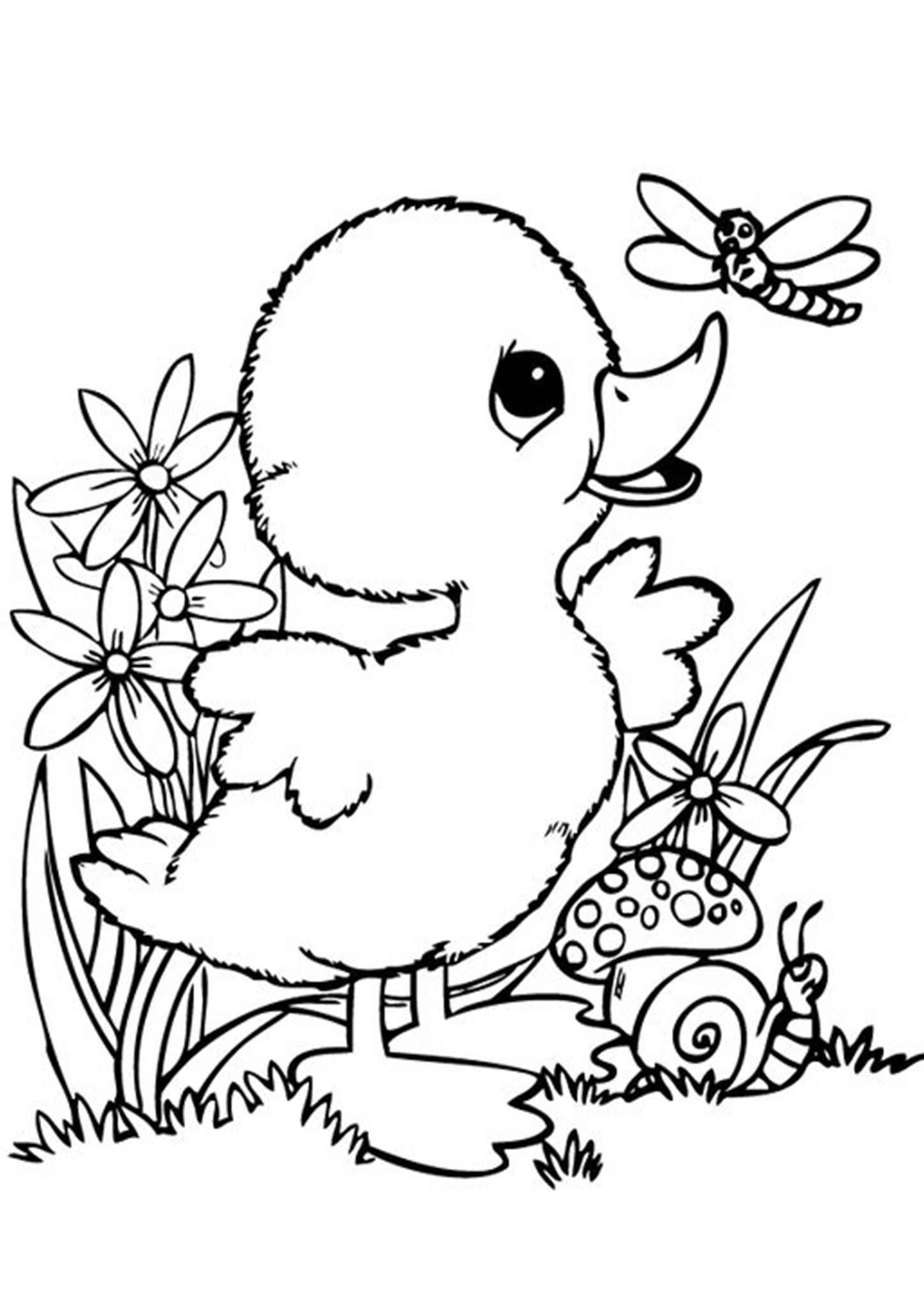 Free easy to print duck coloring pages hayvan boyama sayfalarä boyama sayfalarä boyama kitabä
