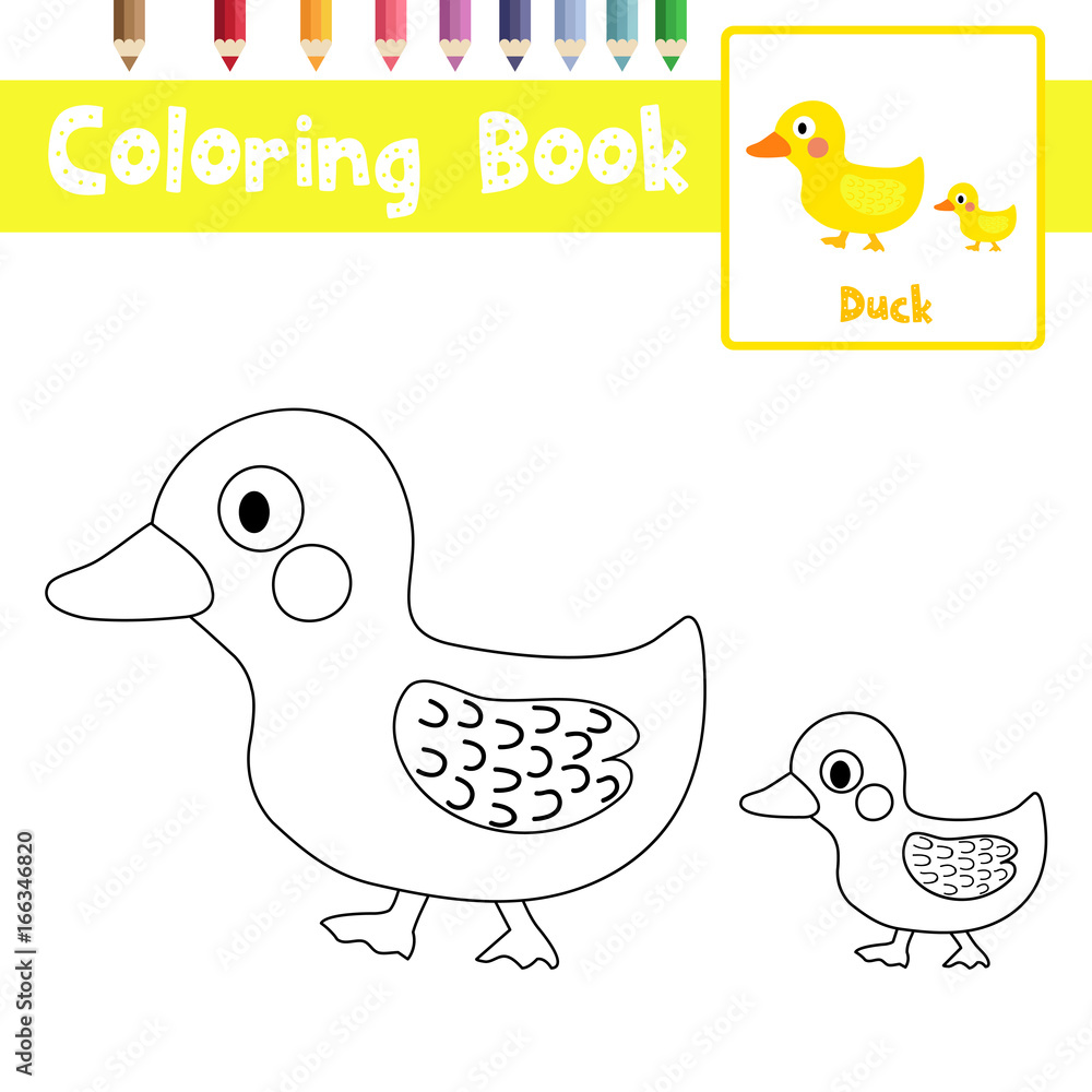 Coloring page of mother and little duck animals for preschool kids activity educational worksheet vector illustration vector