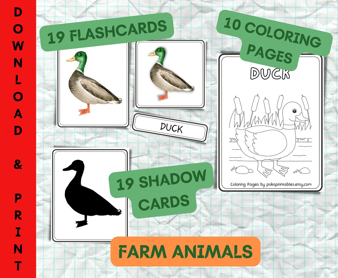 Farm animal flash cards farm animal coloring page shadow matching montessori materials homeschooling