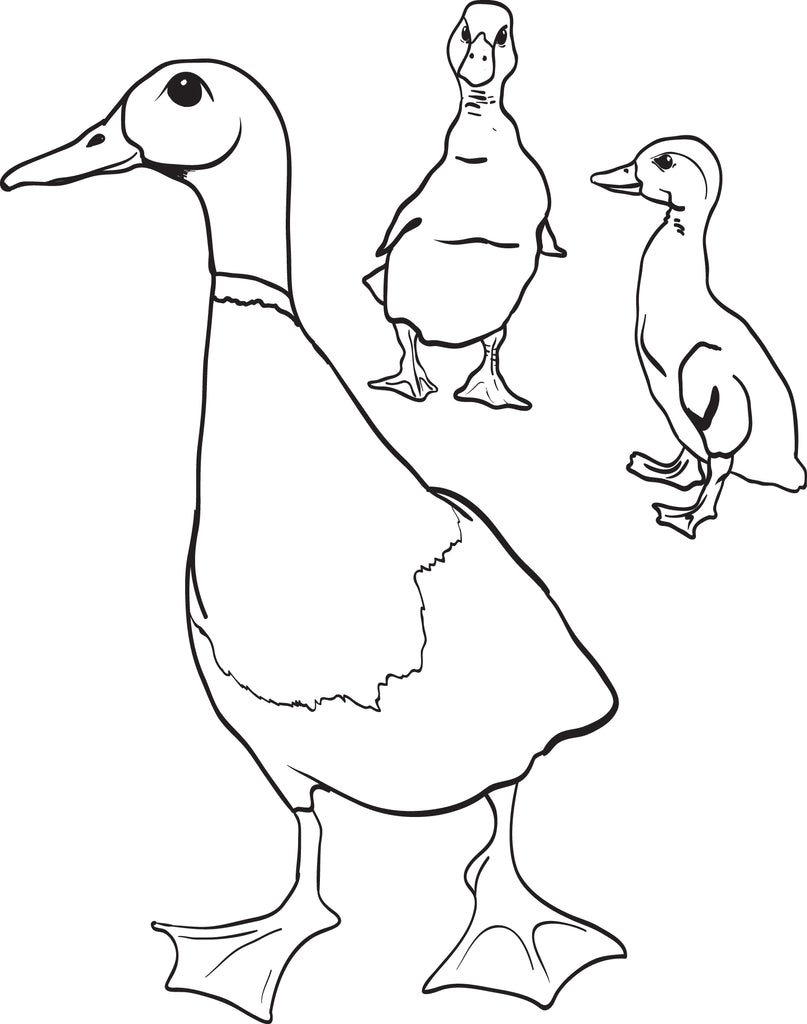 Printable mother duck with little ducklings coloring page for kids â