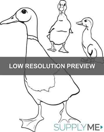 Printable mother duck with little ducklings coloring page for kids â
