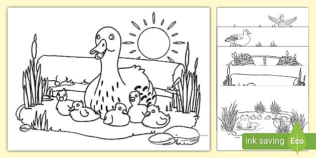 Little ducks colouring pages