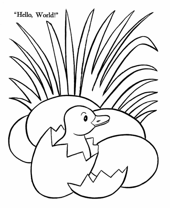 Bluebonkers free printable easter ducks coloring page sheets