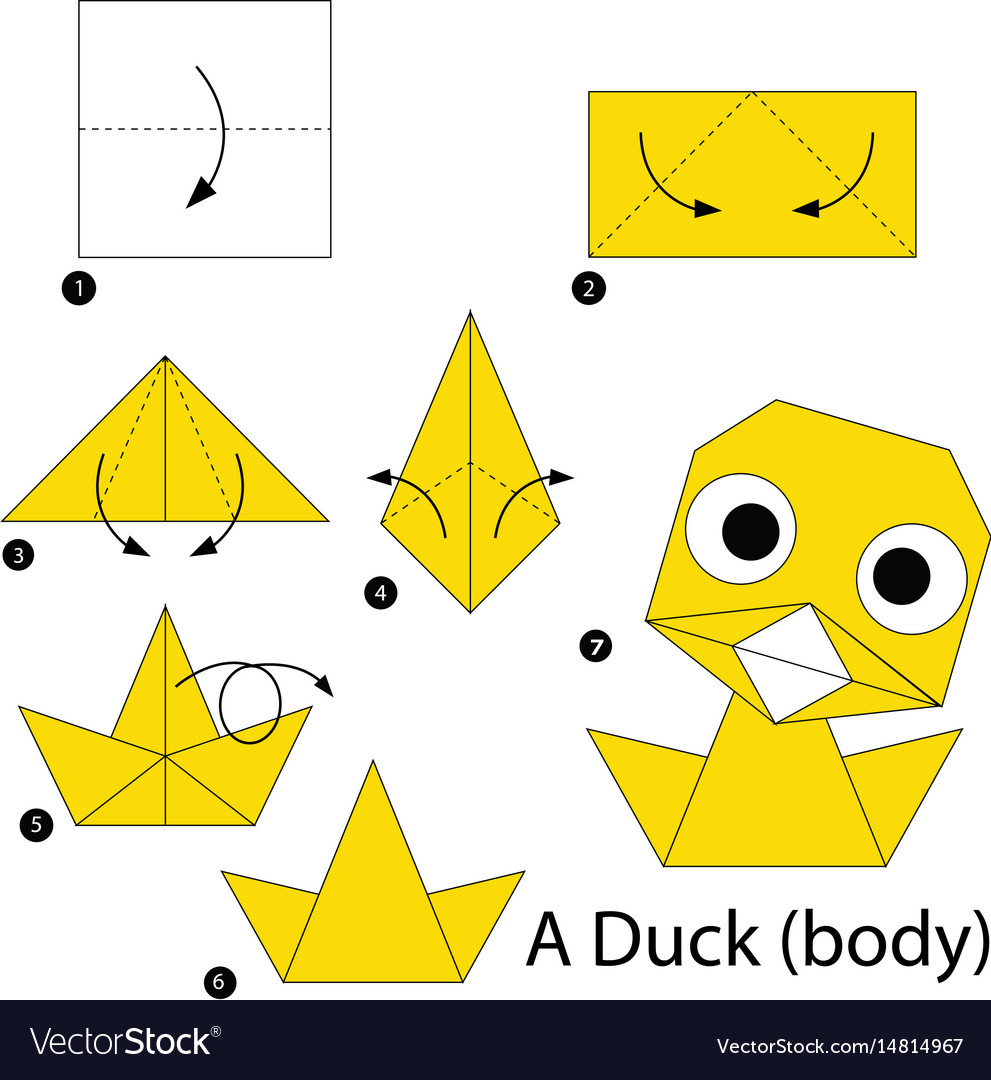 Step instructions how to make origami a duck vector image