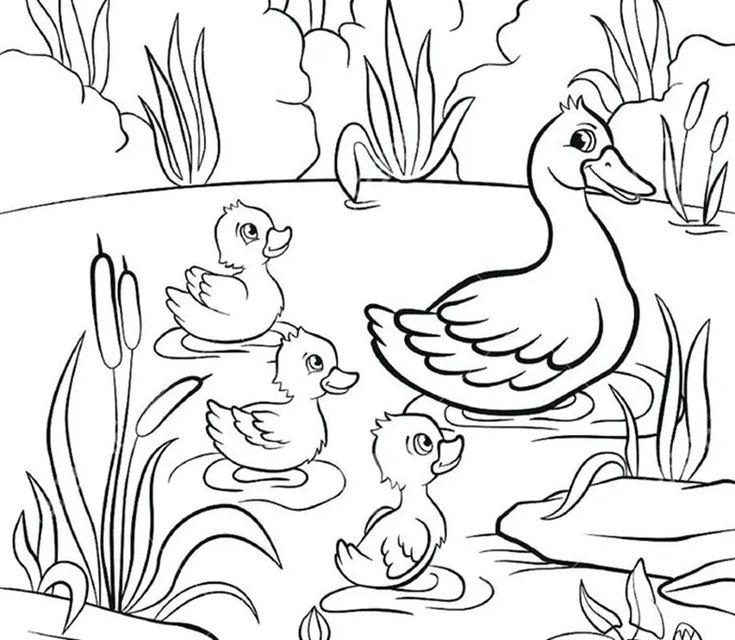 Cute duck coloring pages pdf