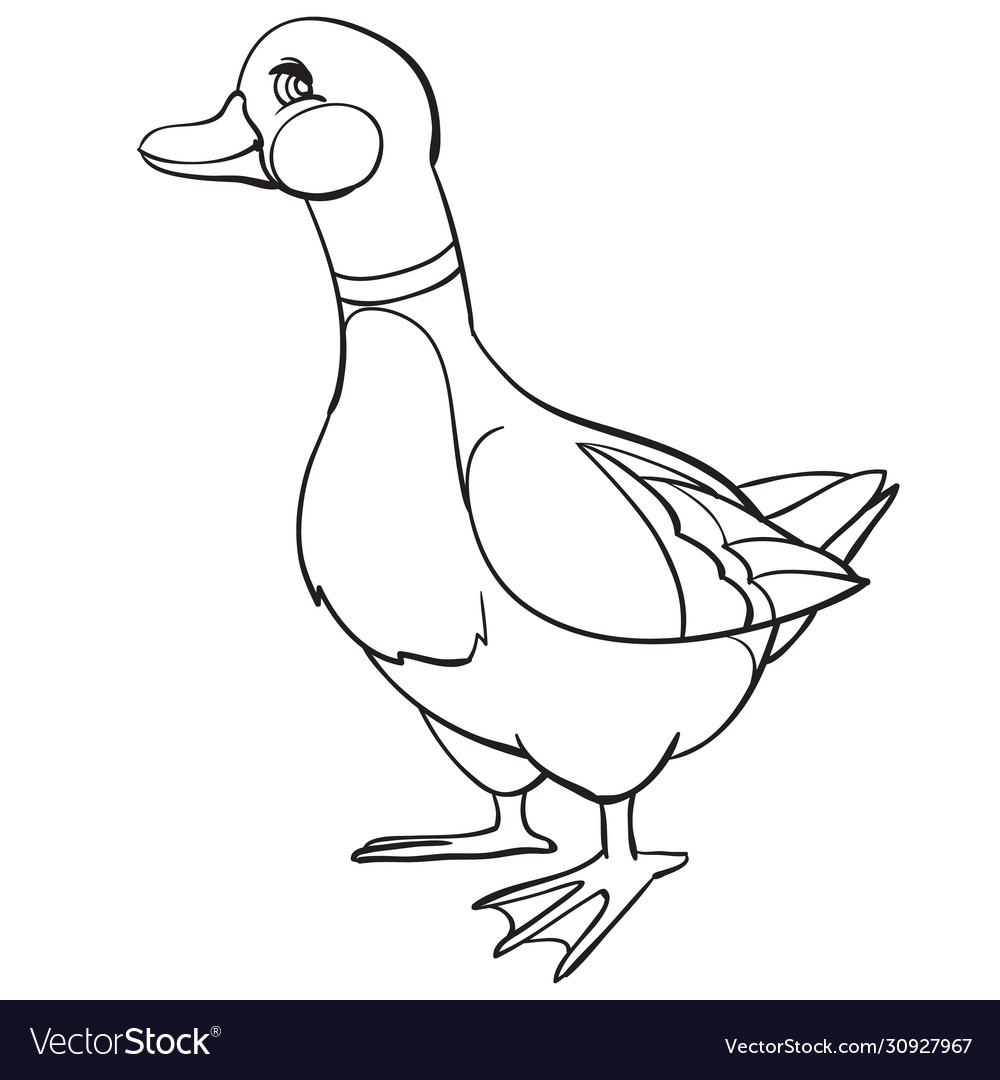 Duck drawn in outline coloring isolated object vector image