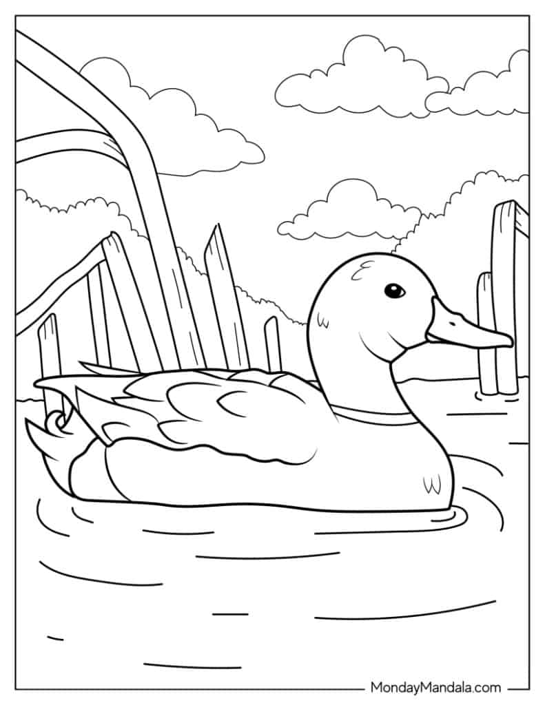 Cute duck coloring pages free pdf printables