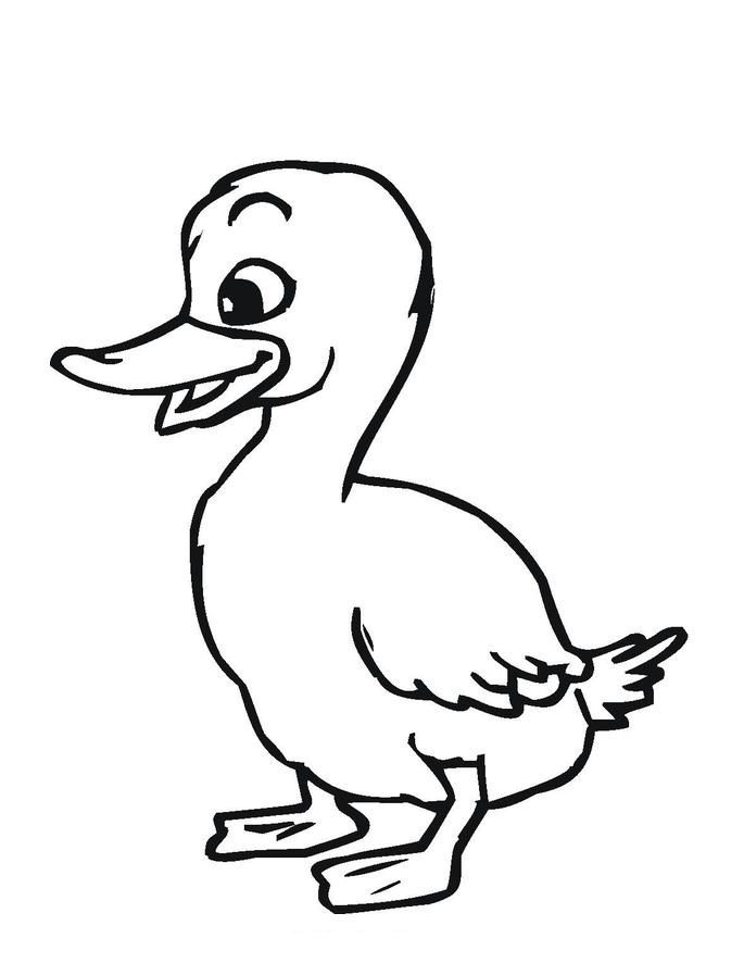 Duck coloring pages