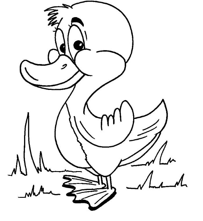 Duck shape s crafts and colouring pages