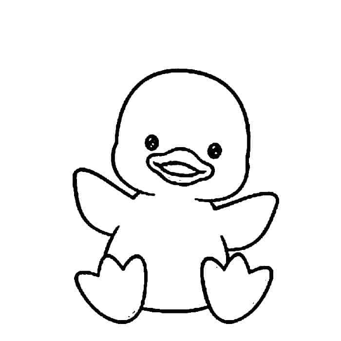 Webkinz duck coloring pages baby coloring pages cute coloring pages bird coloring pages