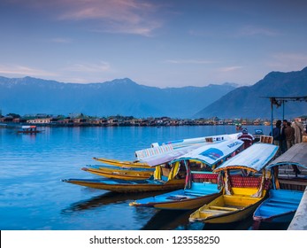 Kashmir indiaapril dal lake tourist stock photo