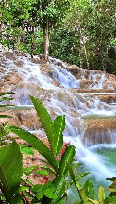 Dunns river falls jamaica jamaica pictures dunn river falls jamaica jamaica travel