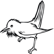 Thrush coloring pages free coloring pages