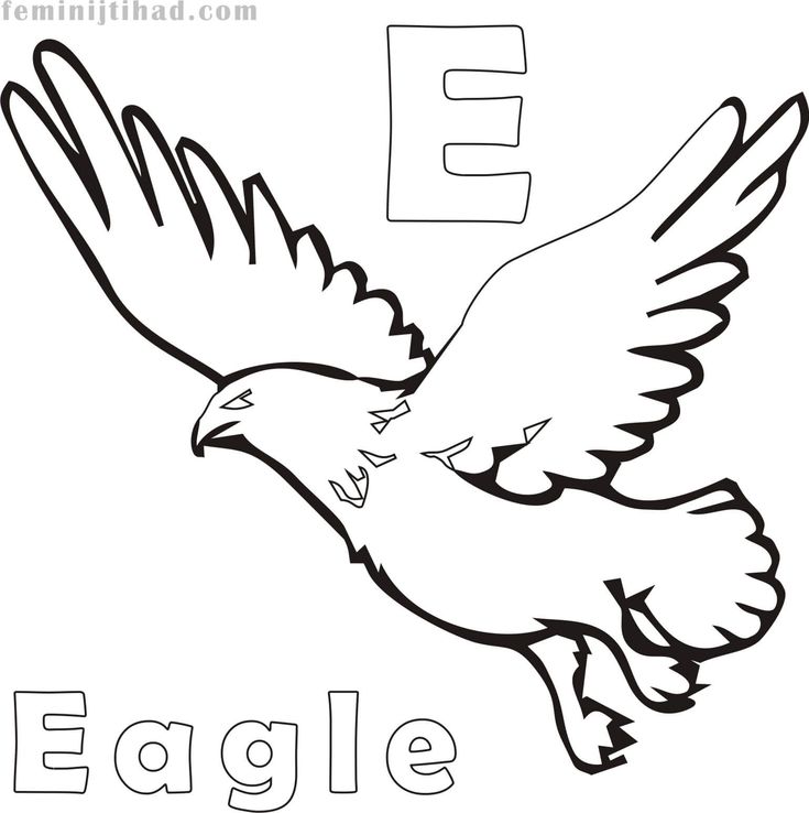 Prtable eagle colorg pages pdf