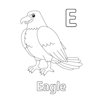 Premium vector eagle animal alphabet abc isolated coloring page e