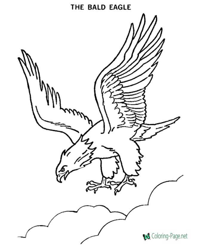 Eagle coloring pages