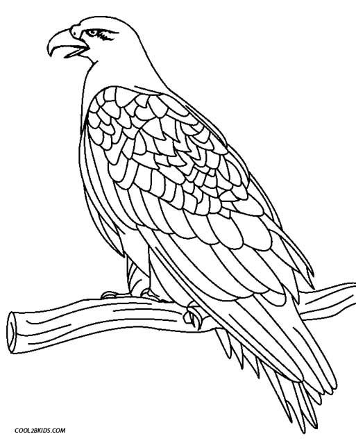 Printable eagle coloring pages for kids coloring pages bird coloring pages coloring pictures for kids