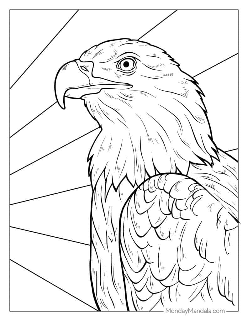 Bald eagle coloring pages free pdf printables