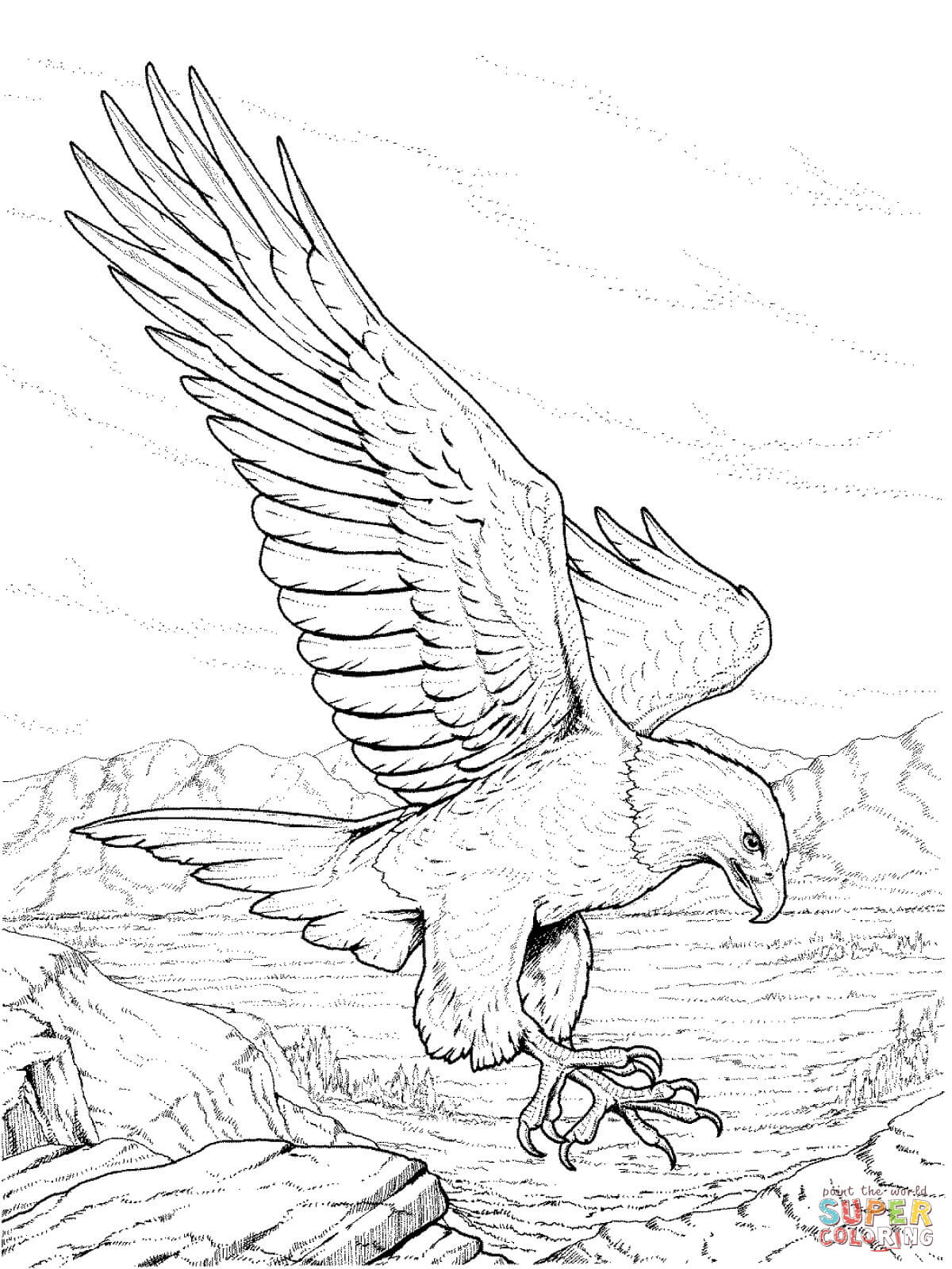 North american bald eagle coloring page free printable coloring pages