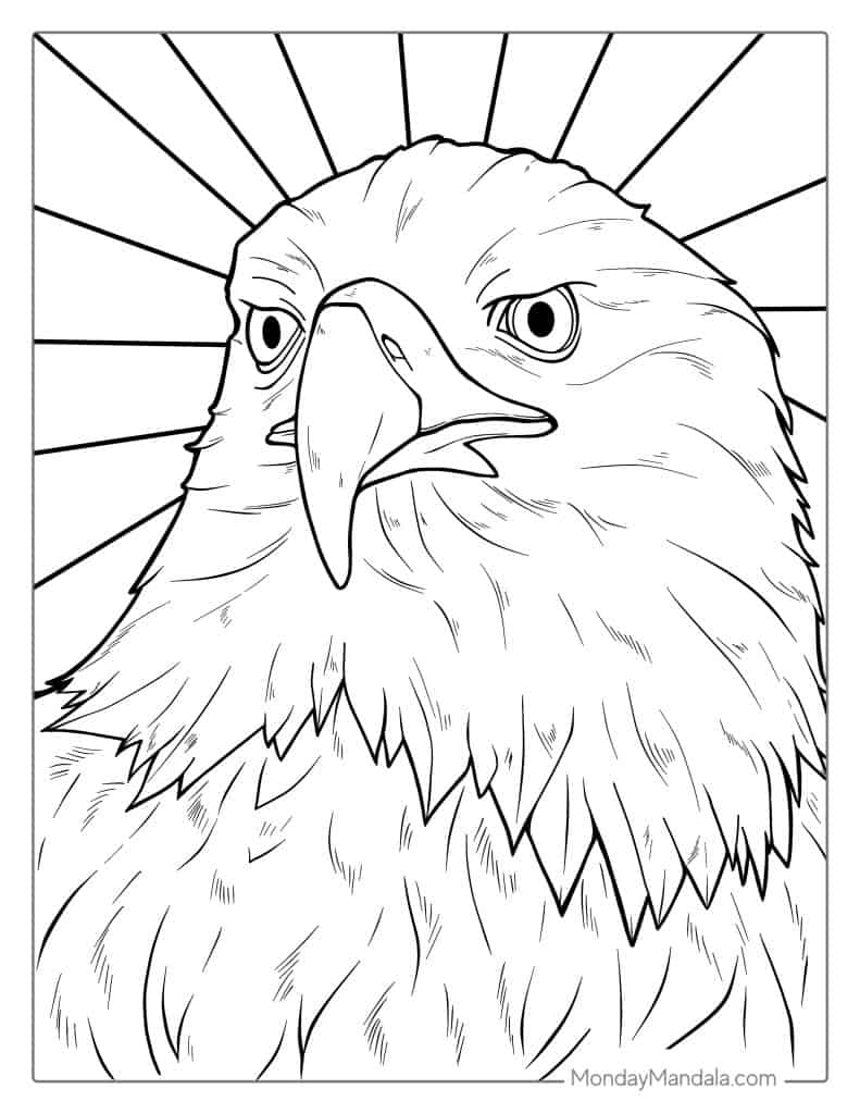 Bald eagle coloring pages free pdf printables