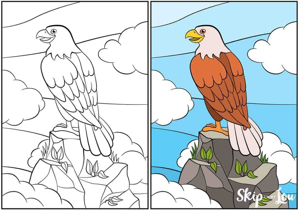 Bald eagle coloring pages skip to my lou