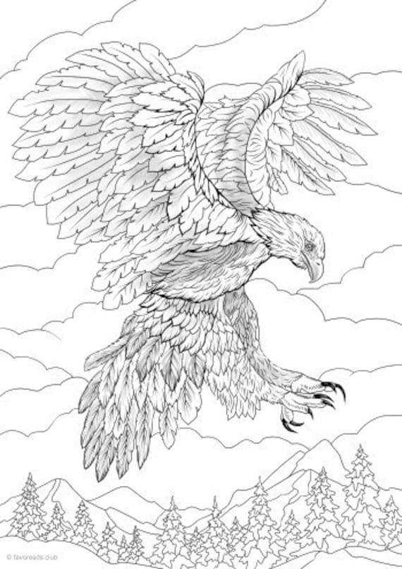 Eagle printable adult coloring page from favoreads coloring