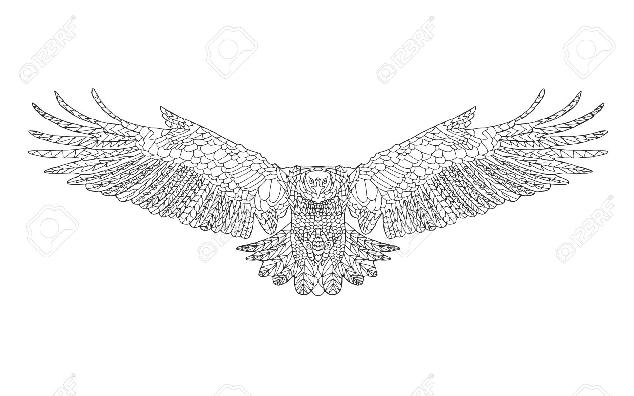 Eagle adult coloring page bird black and white hand drawn doodle ethnic patterned vector illustration african indian totem tribal zentangle design sketch for tattoo poster print or t