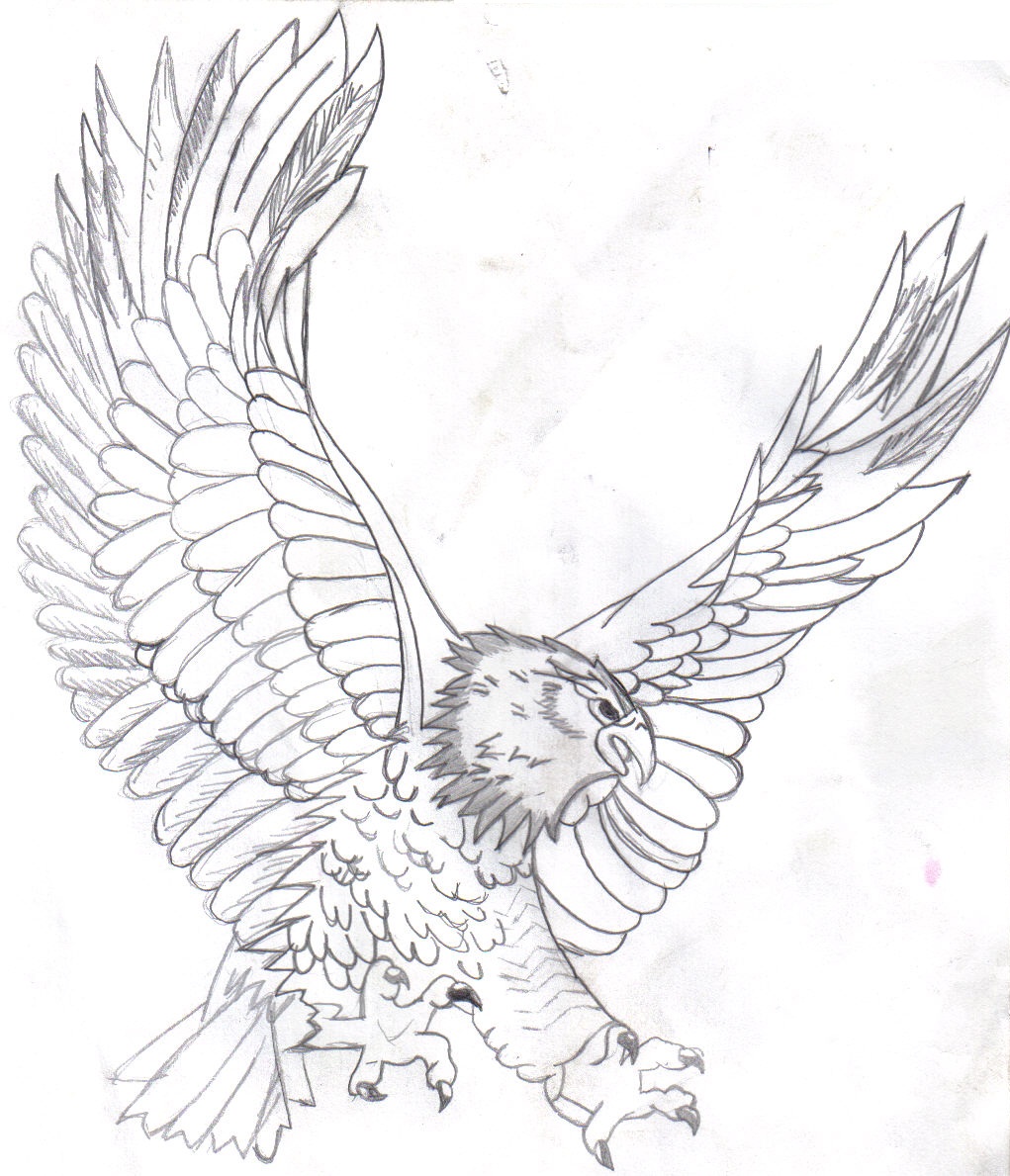 Free printable bald eagle coloring pages for kids