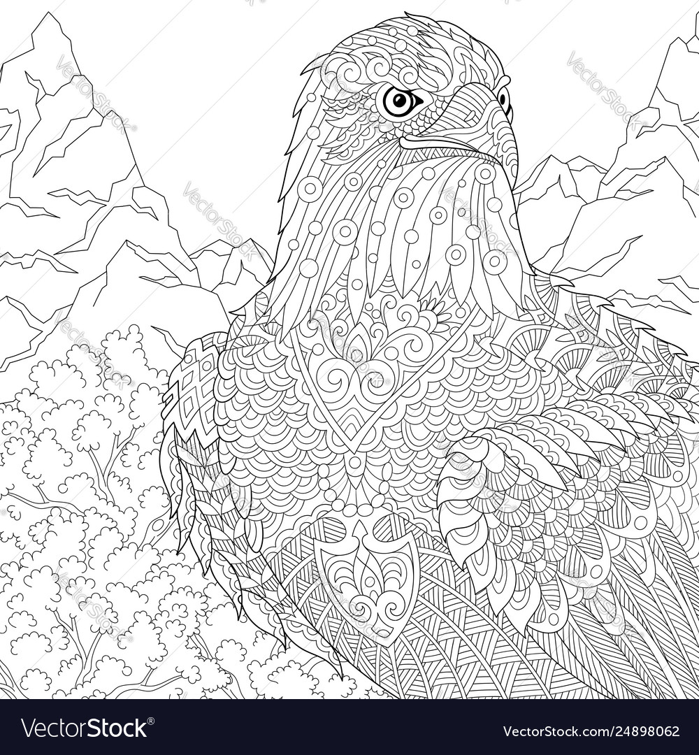 Eagle adult coloring page royalty free vector image