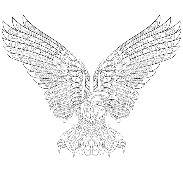 Premium vector bald eagle zentangle colouring illustration line art design for adult coloring book page