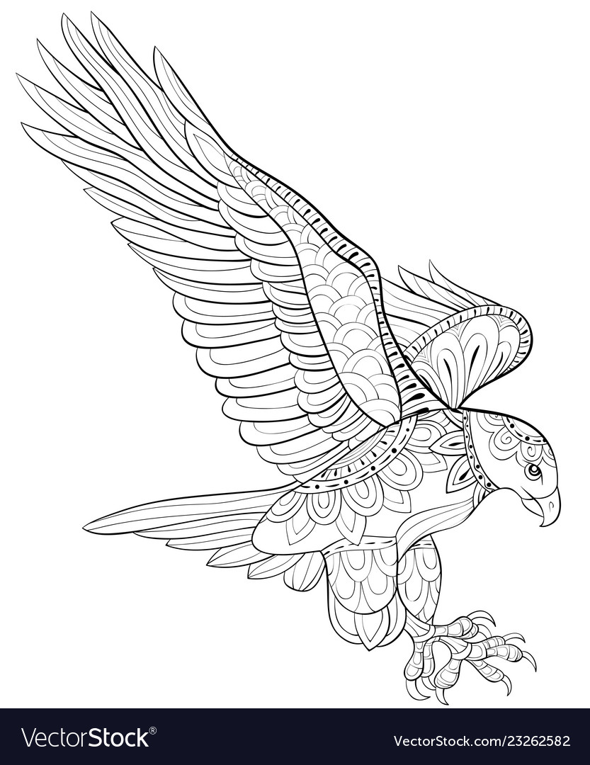 Adult coloring bookpage a cute flying eagle image vector image