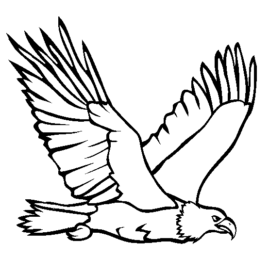 Eagle coloring page