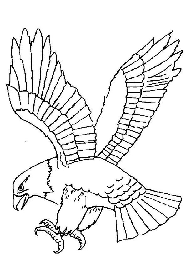 Coloring pages free printable eagle coloring pages