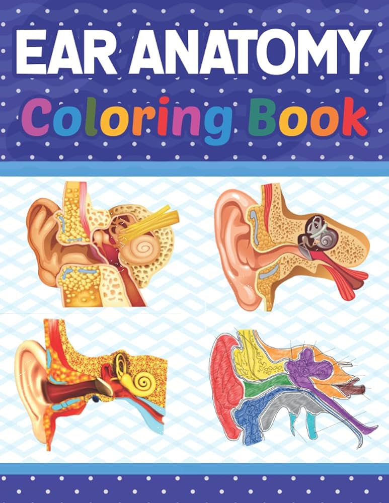 Ear anatomy coloring book human ear coloring activity book for kids an entertaining and instructive