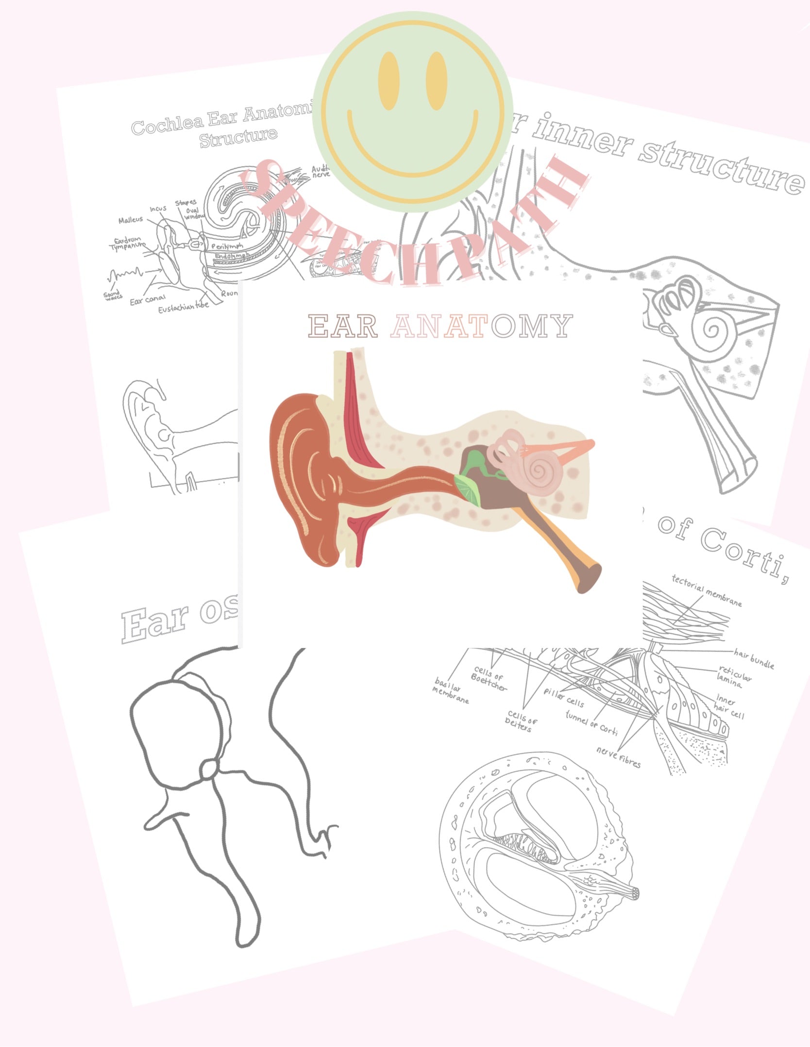 Ear anatomy coloring pages digital prints â taniasweet finds