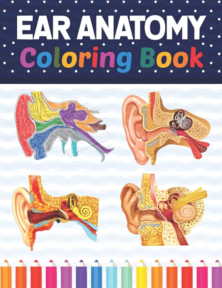 Ear anatomy coloring book human ear and human anatomy learning workbookhuman ear anatomy coloring book kids anatomy coloring bookhuman ear anatomy coloring book for kids boys girls teens publication sarkayniabell