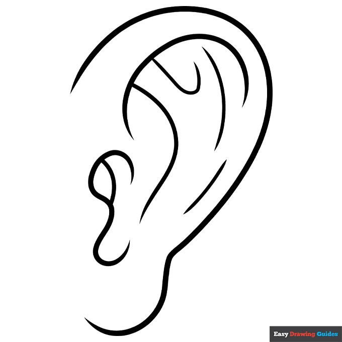 Cartoon ear coloring page easy drawing guides