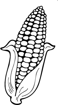 Ear of corn printable clip art and images