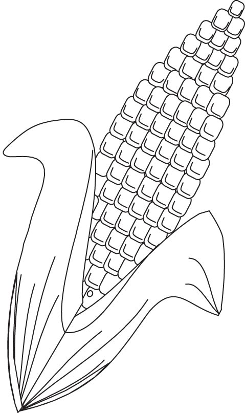 Corn coloring page download free corn coloring page for kids best coloring pages