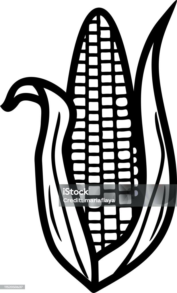 Coloring page with corn ear stock illustration